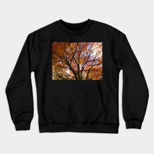October Dreams Crewneck Sweatshirt